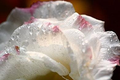 《永劫无间》新地图火罗国今日上线，林俊杰献唱周年主题曲